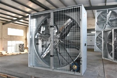 39 "Fan van de pluimveeboerderij Hammer